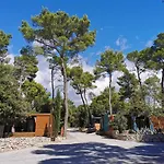 Mobile Linico Kamp alanı *