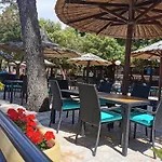 Mobile Linico Kamp alanı *