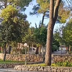 Mobile Linico * بيوغْغاد نا موغو