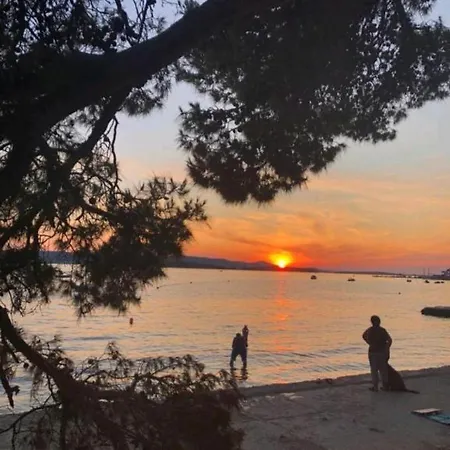 Mobile Linico Camping