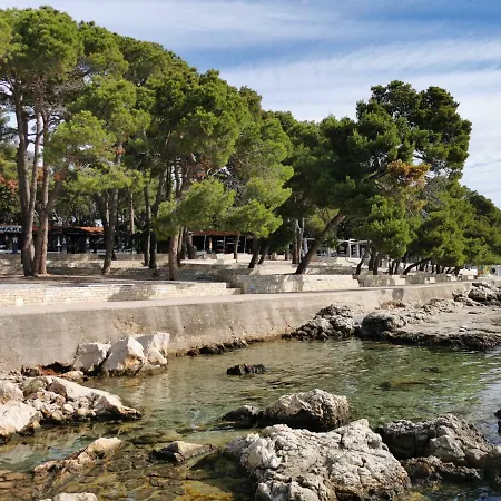 Campsite Mobile Linico