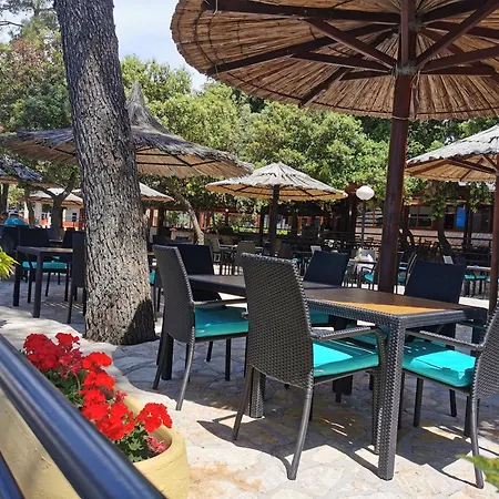 Mobile Linico Κάμπινγκ *