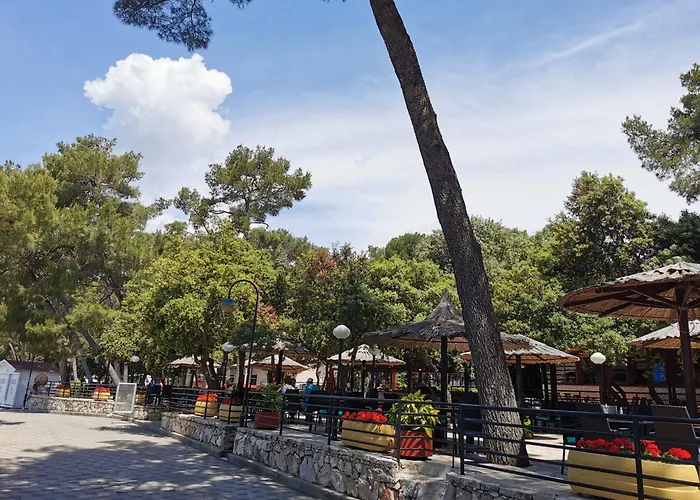 Mobile Linico Кемпинг *