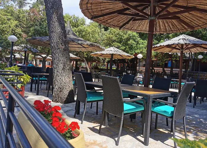 Mobile Linico Кемпинг *